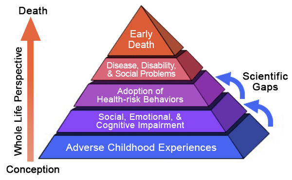 adverse-childhood-experiences-pyramid-lg
